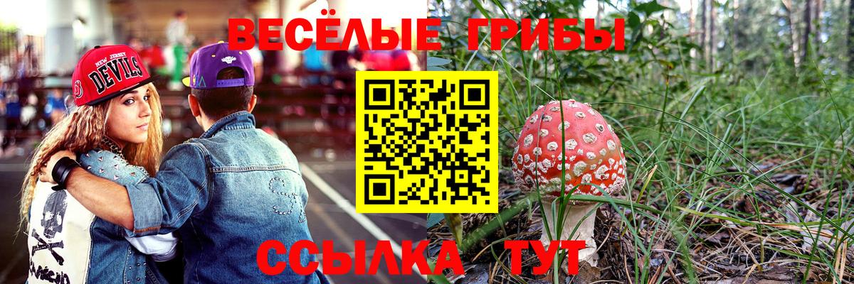 Галлюциногенные грибы мицелий  Галлюциногенные грибы мицелий  Ржев  Вход с VPN 