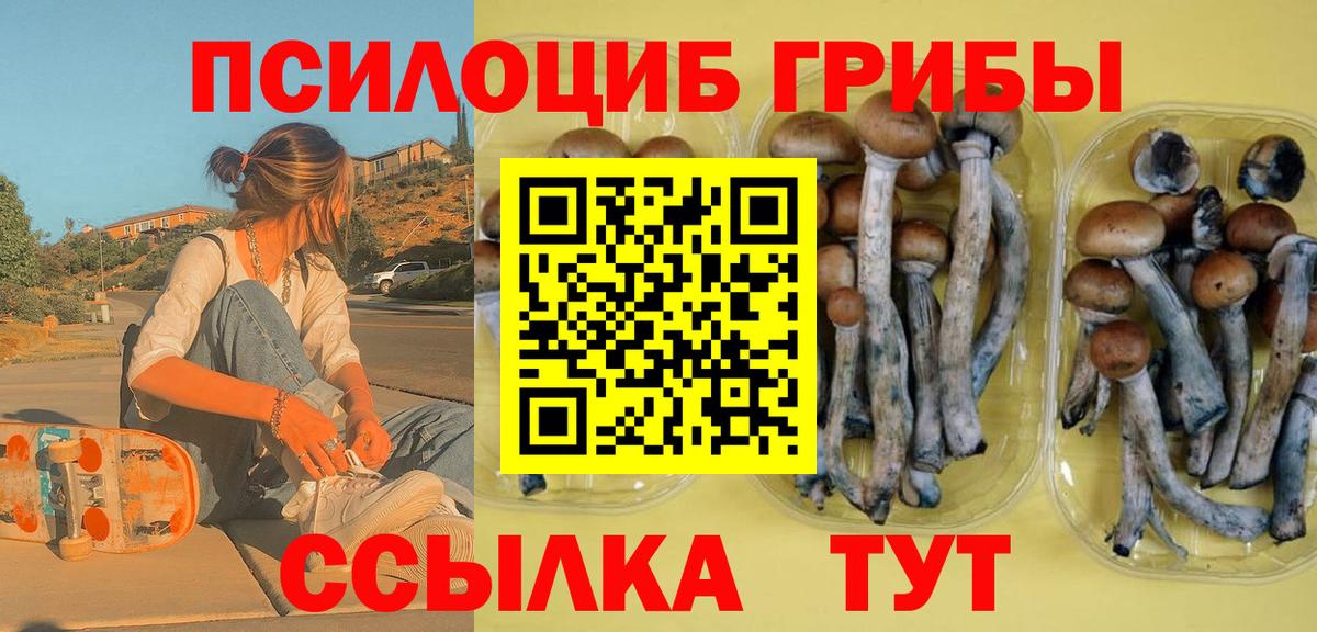 Псилоцибиновые грибы прущие грибы Ржев